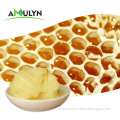 /msite/products/detail/productid/60493719/id/1337192.html